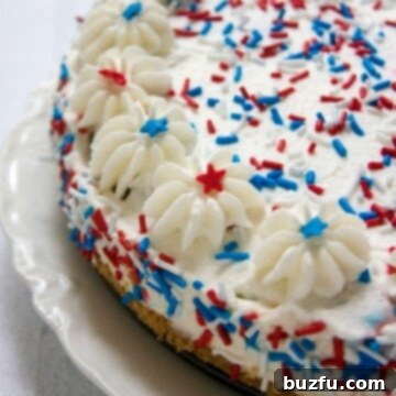 4th of July No Bake Cheesecake from CrunchyCreamySweet.com