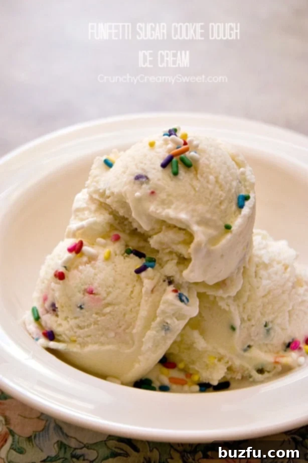 Creamy Vanilla Sugar Cookie Dough Ice Cream with colorful funfetti sprinkles swirled throughout.