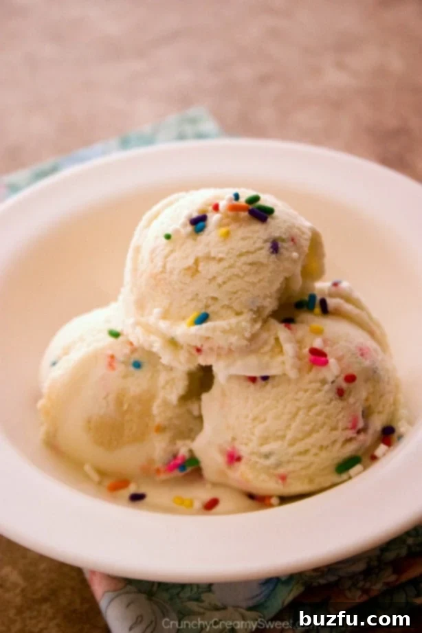 Scoops of homemade Vanilla Sugar Cookie Dough Ice Cream topped with extra colorful sprinkles.