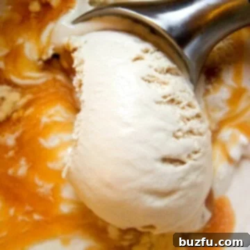 Velvety Caramel Iced Coffee Ice Cream 2 Caramel Iced Coffee Ice Cream ready to be served