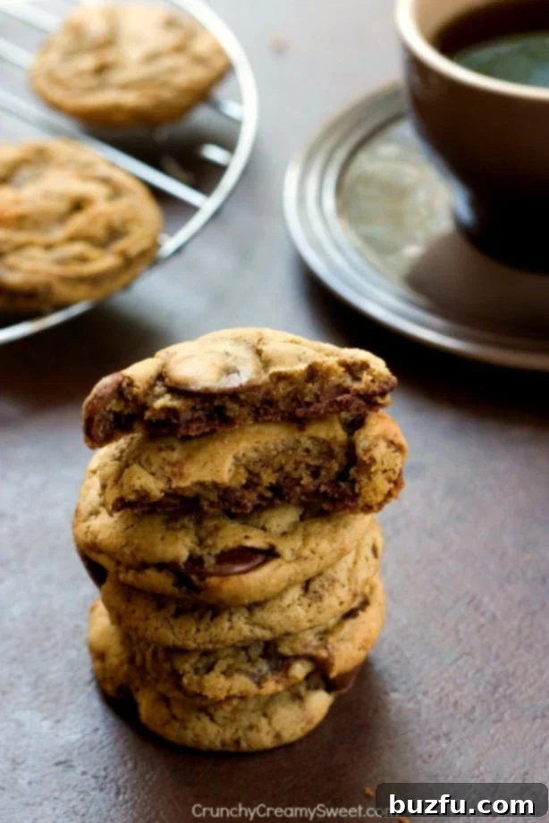 Coffee and Chocolate Chip Cookies from Crunchy Creamy Sweet Coffee and Chocolate Chip Cookies from Crunchy Creamy Sweet