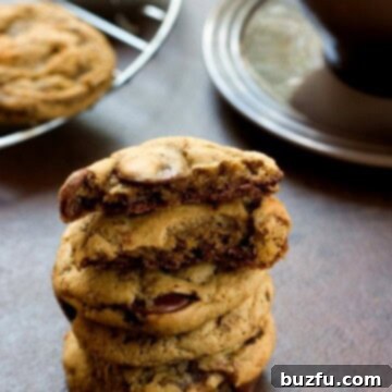 Espresso Chocolate Chip Delights 2 Coffee and Chocolate Chip Cookies from Crunchy Creamy Sweet