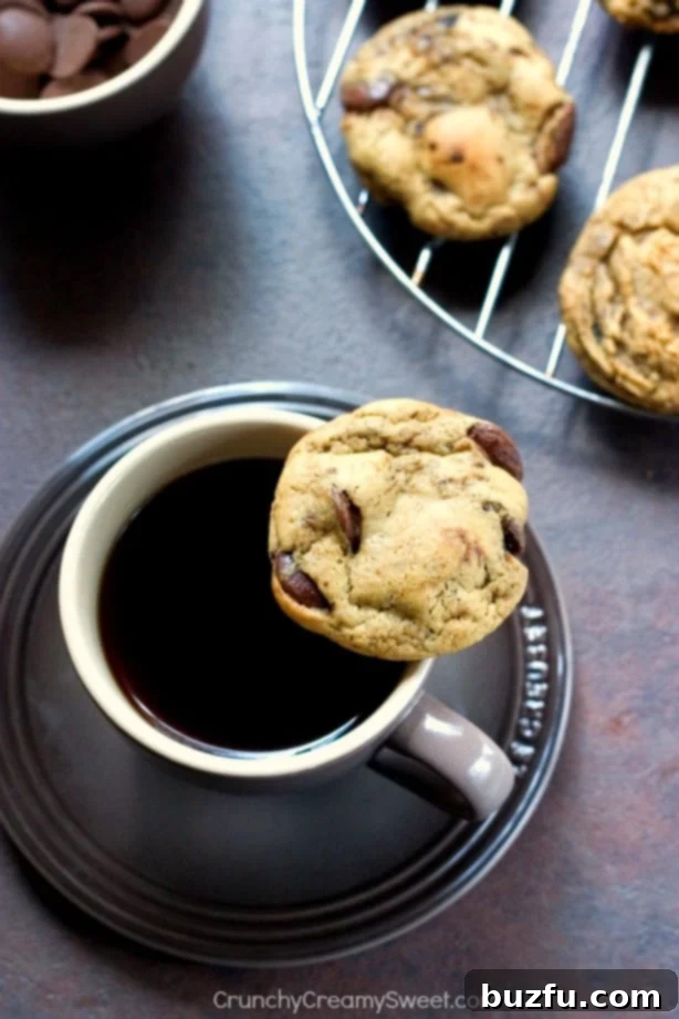 Mocha Cookies aka Coffee and Chocolate Cookies Mocha Cookies aka Coffee and Chocolate Cookies