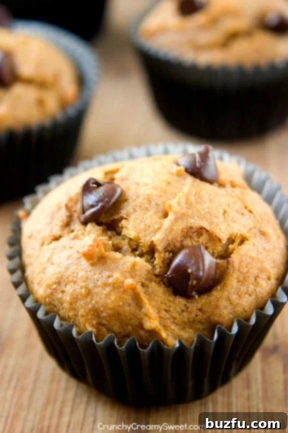 Delicious Chocolate Chip Pumpkin Muffins, a healthy and flavorful treat, perfect for autumn baking.