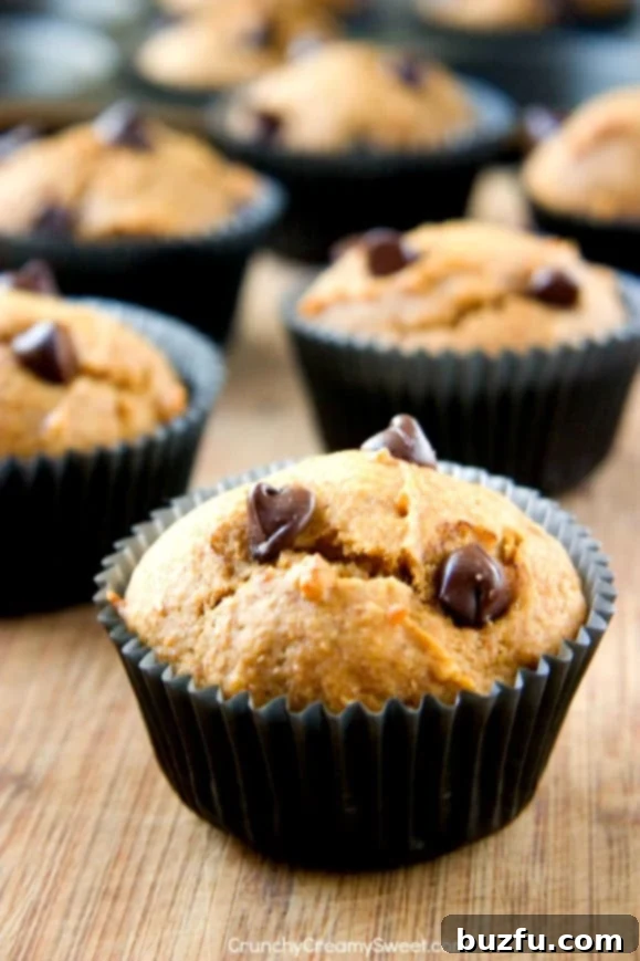Perfectly baked Skinny Chocolate Chip Pumpkin Muffins with chocolate chunks on top, a healthier breakfast option from Crunchy Creamy Sweet.