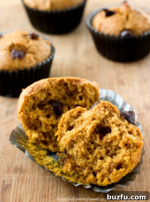 Close-up of a perfectly baked, soft, and fluffy Skinny Chocolate Chip Pumpkin Muffin, highlighted by melted chocolate chips.