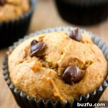 Chocolate Chip Pumpkin Muffins recipe image