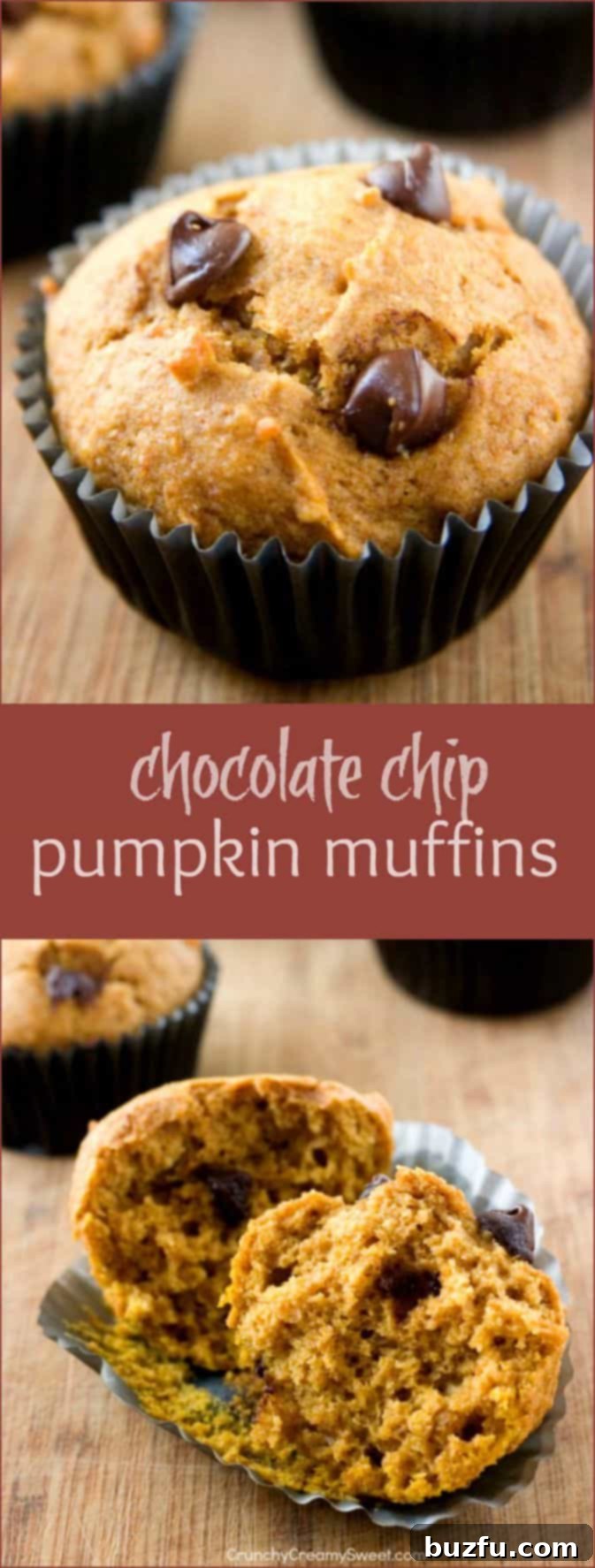 A tall, inviting stack of perfectly baked pumpkin muffins adorned with visible chocolate chips, promising deliciousness.