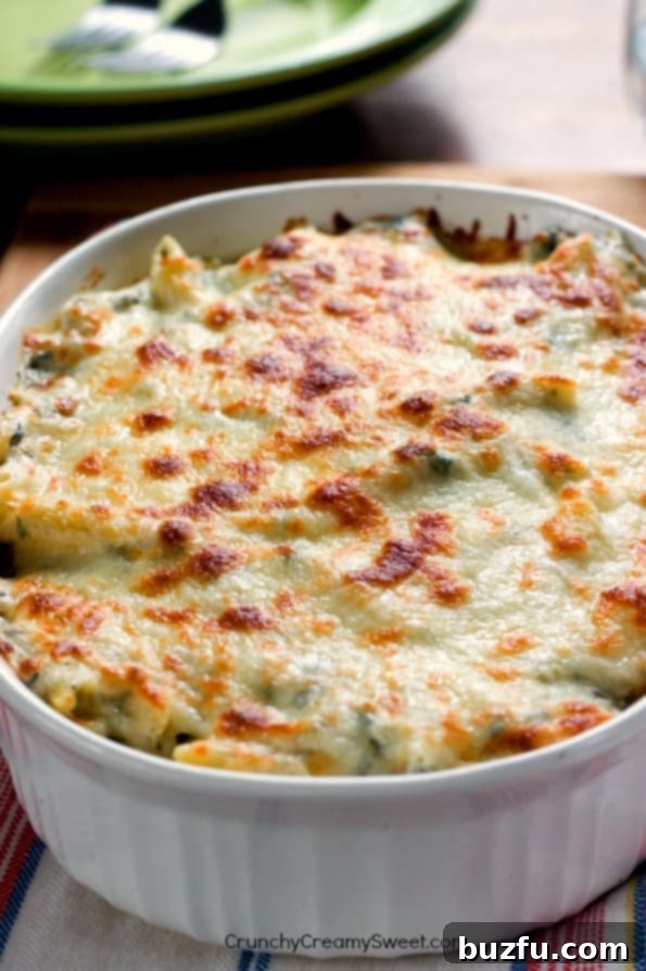 Loaded Cheddar Bacon Ranch Dip 7 Hearty Cheesy Spinach Dip Pasta with tender chicken.