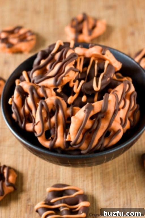 Pumpkin Spice Chocolate Pretzel Treats 2 Pumpkin Spice Chocolate Covered Pretzels - Close up