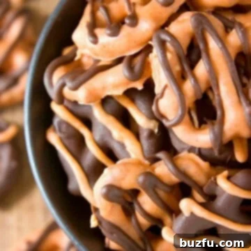 Pumpkin Spice Chocolate Pretzel Treats 3 Pumpkin Spice Chocolate Covered Pretzels in a bowl.