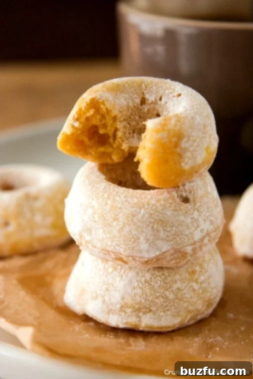Mini Pumpkin Donuts dusted with powdered sugar, stacked