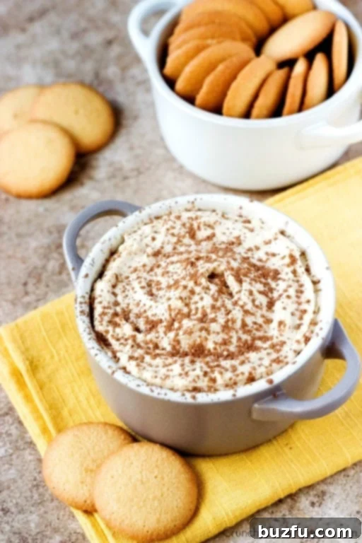 Overhead shot of creamy Tiramisu Dip in a white bowl, garnished with cocoa powder, alongside crispy vanilla wafers ready for scooping.