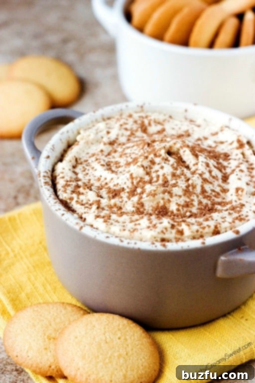 Close-up shot of the rich, creamy texture of Tiramisu Dip, beautifully dusted with cocoa powder, highlighting its inviting appearance.