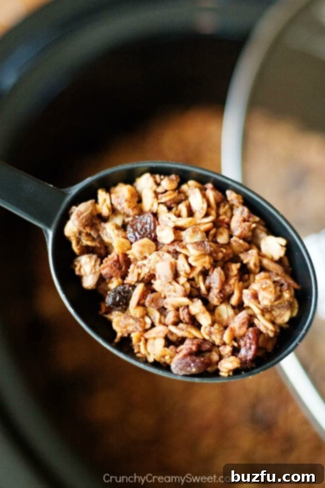 Homemade Slow Cooker Granola with Pumpkin and Nutella, ready to be enjoyed