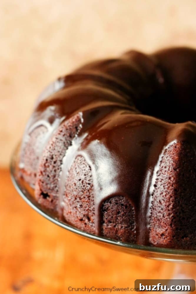 The Best Chocolate Bundt Cake - an absolutely perfect, moist chocolate bundt cake topped with an easy chocolate glaze! This simple one-bowl recipe requires no eggs or a mixer, making it ideal for any baker. Side shot of a perfectly glazed chocolate bundt cake with a rich chocolate ganache, presented elegantly on a cake stand.