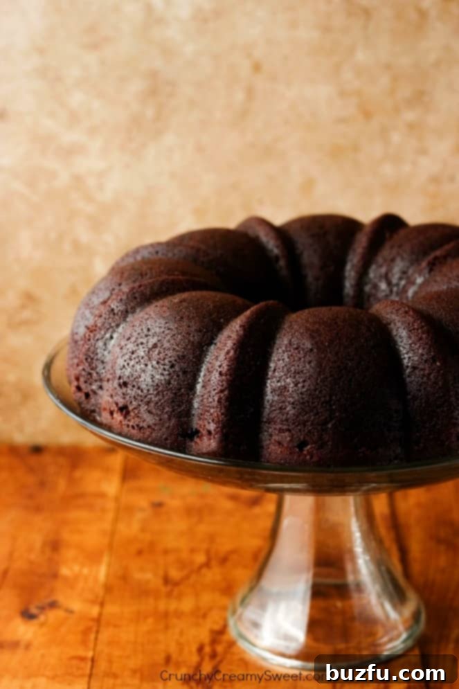 Learn how to make the best chocolate bundt cake with this detailed, easy-to-follow recipe. Achieve bakery-quality results at home! Side shot of a glorious chocolate bundt cake presented on a elegant glass cake stand, ready to be served.