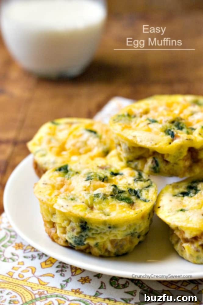 Delicious Vegetable, Ham, and Cheese Egg Muffins – A perfect, easy, and healthy breakfast for the whole family, gluten-free and keto-friendly.
