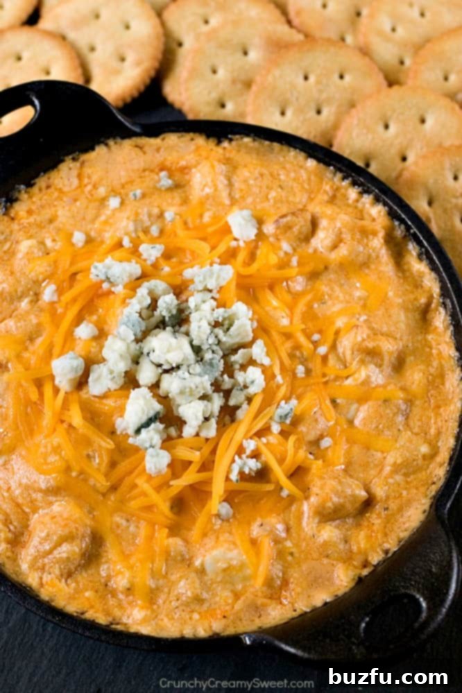 Buffalo chicken dip with bleu cheese on top and crackers around the dish.