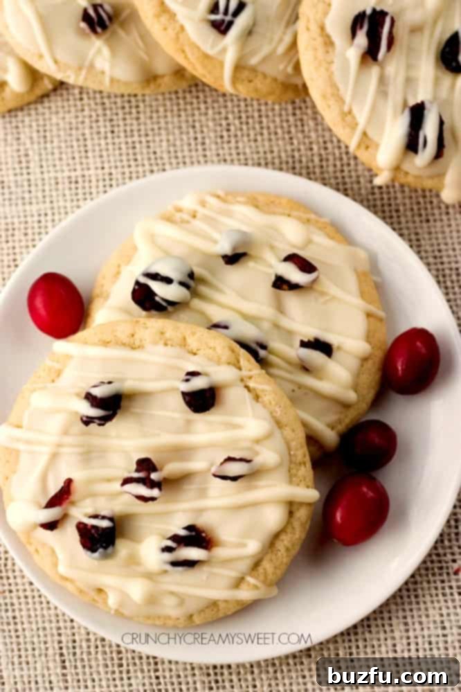 Soft and chewy sugar cookies topped with melted white chocolate and dried cranberries, arranged beautifully on a plate.