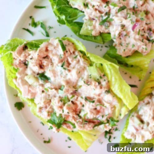Dill Pickle Chicken Salad Delight 5 Tuna salad on lettuce on a plate.